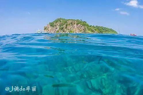 沈国权 沈雯《重生后我成了传奇》第1章