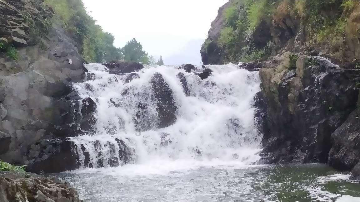 植物大战僵尸3