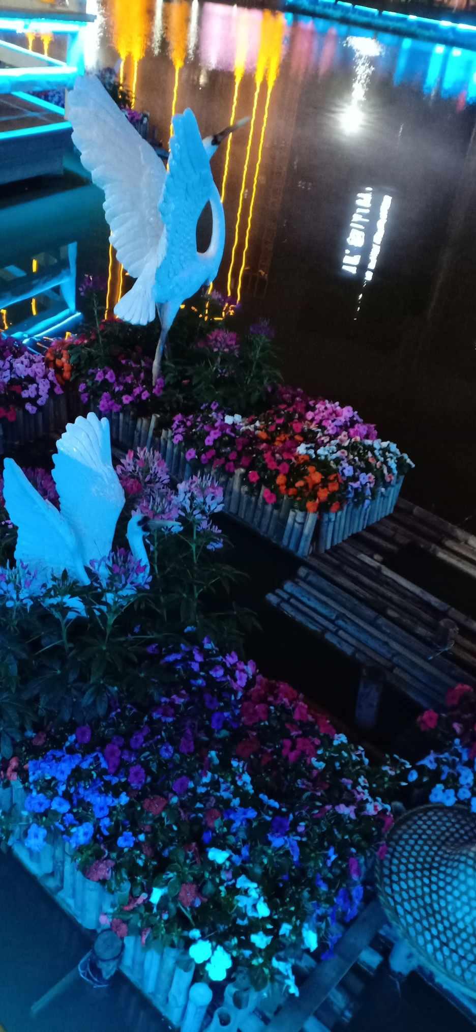 警示丨宁夏公布5起打击谣言典型案例!